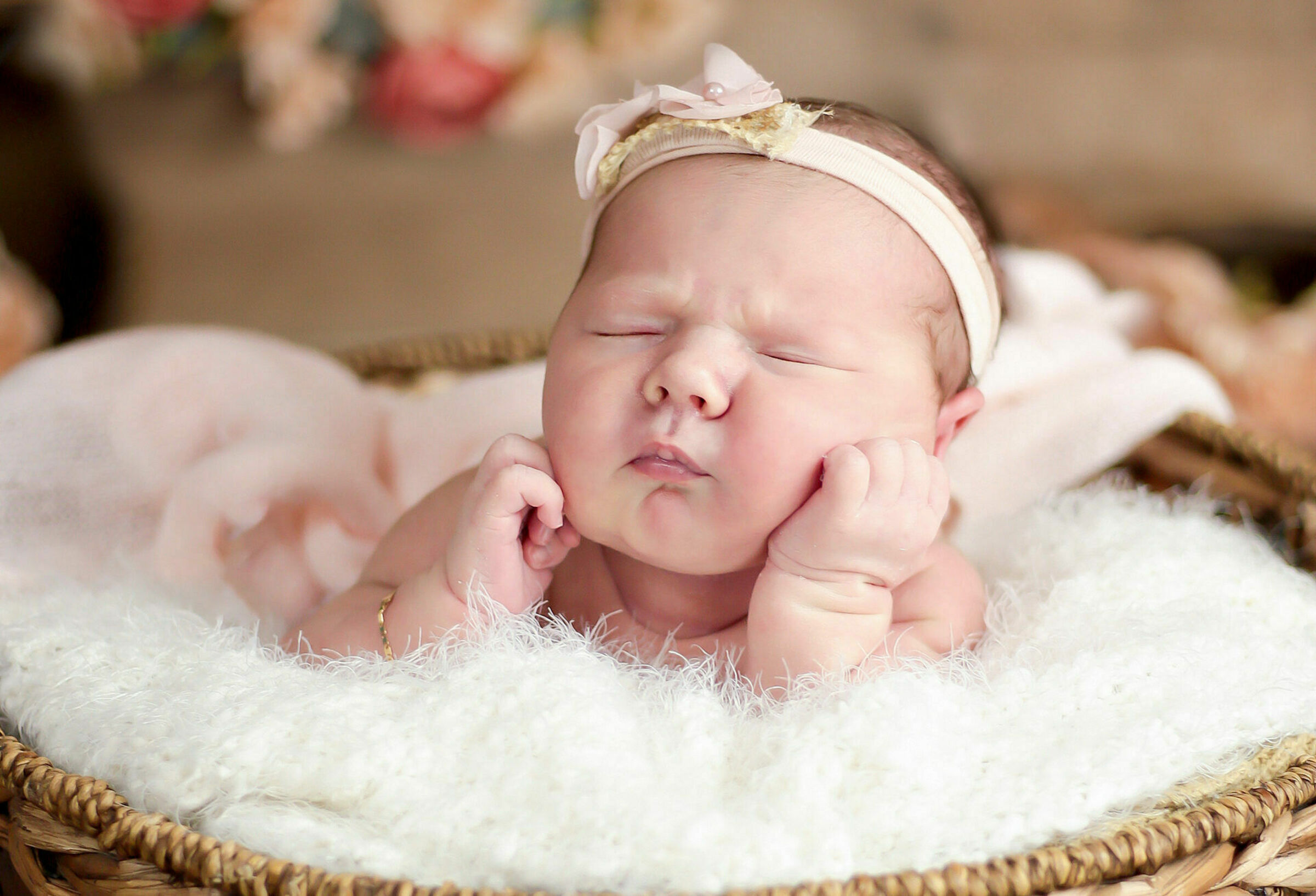 Foto de Mary e Evandro Fotografia 0