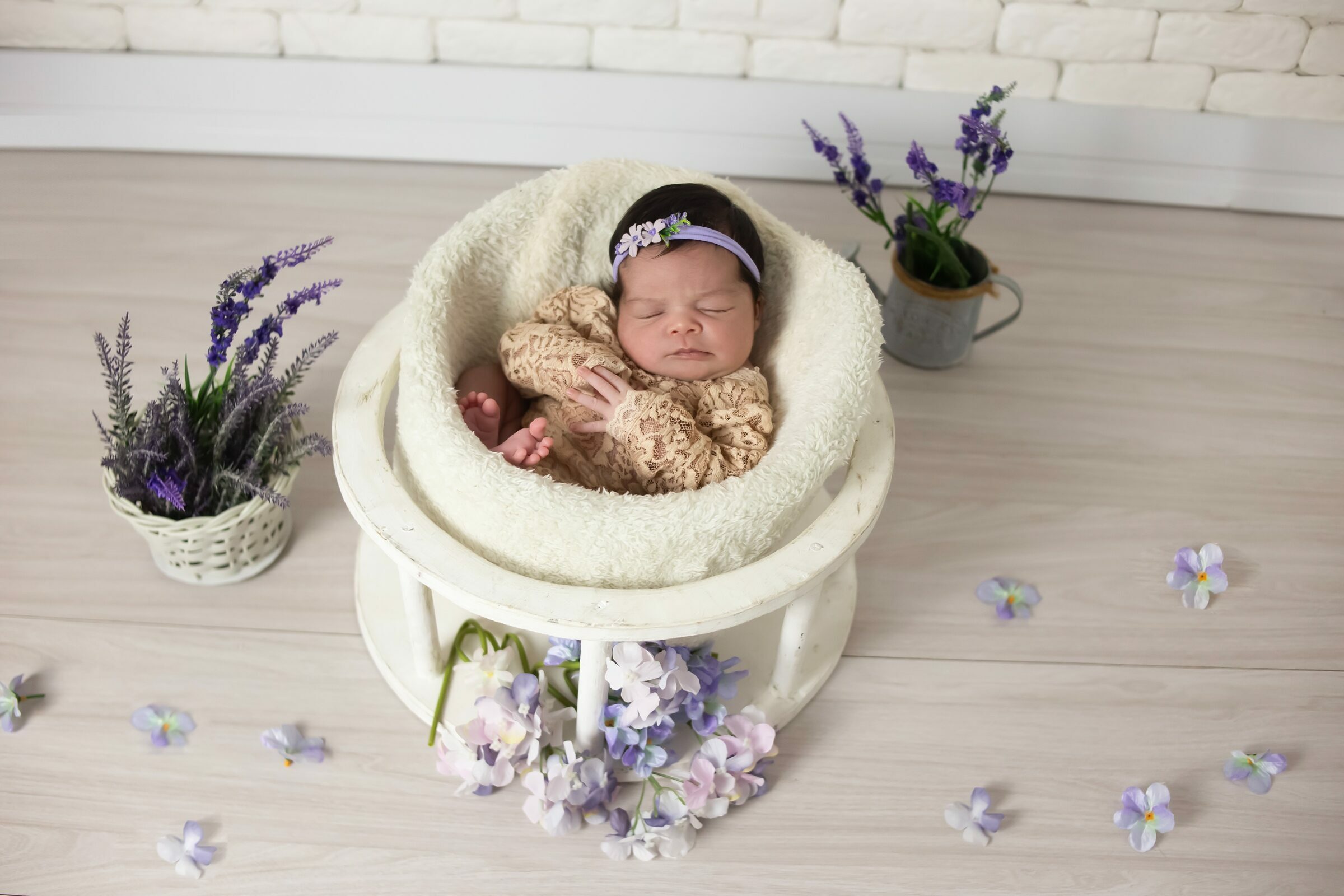 Foto de Mary e Evandro Fotografia 1